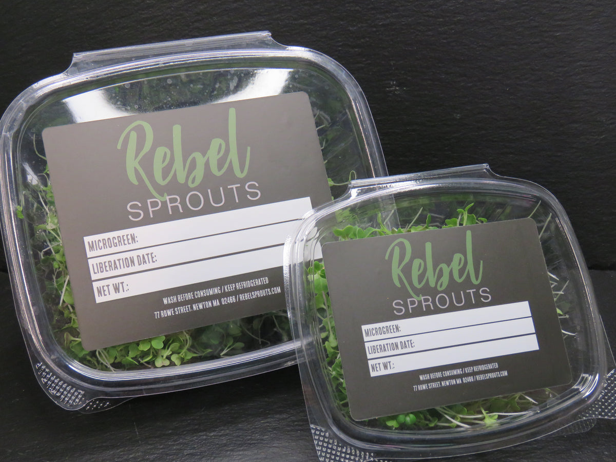 Spicy Rebel Blend