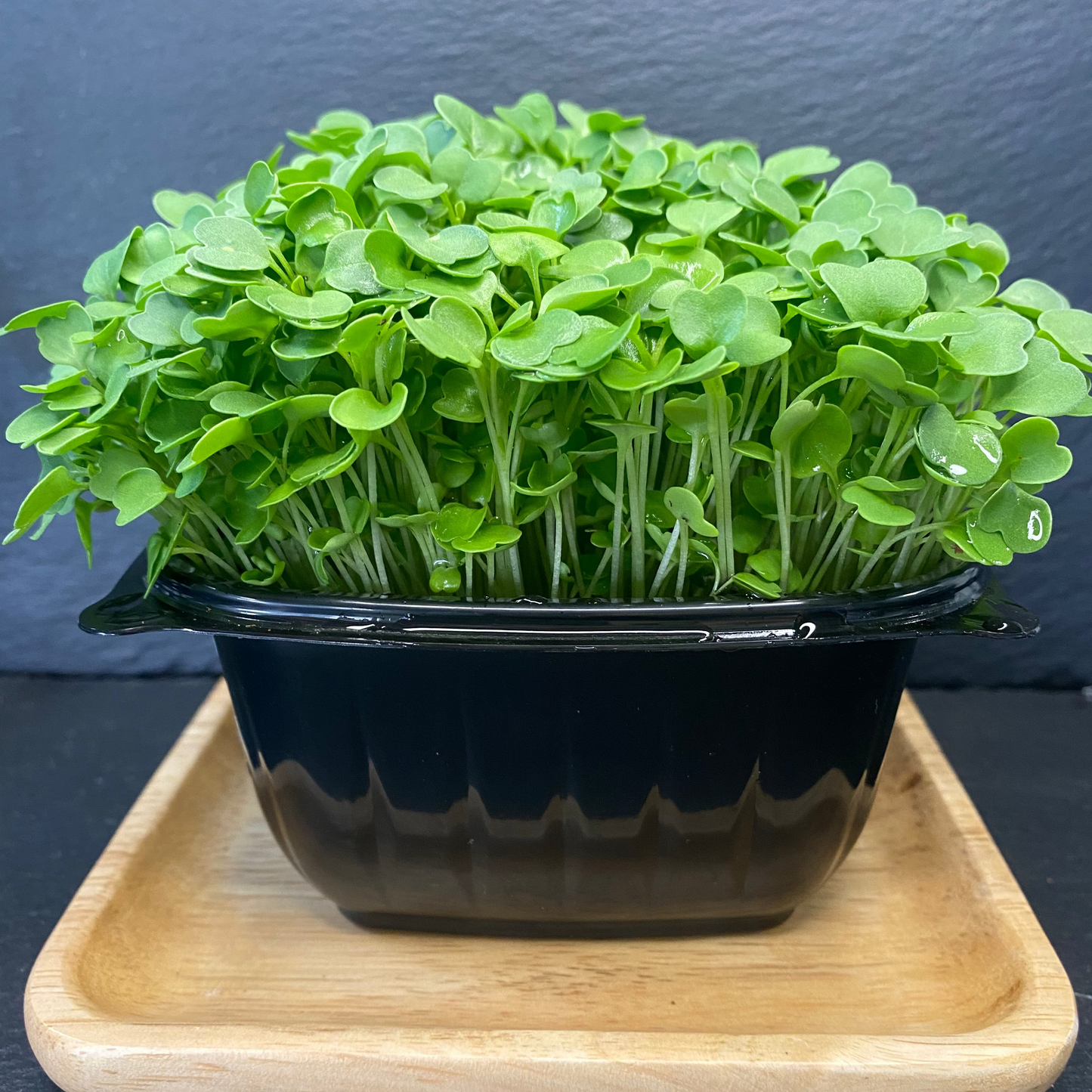 Micro Broccoli