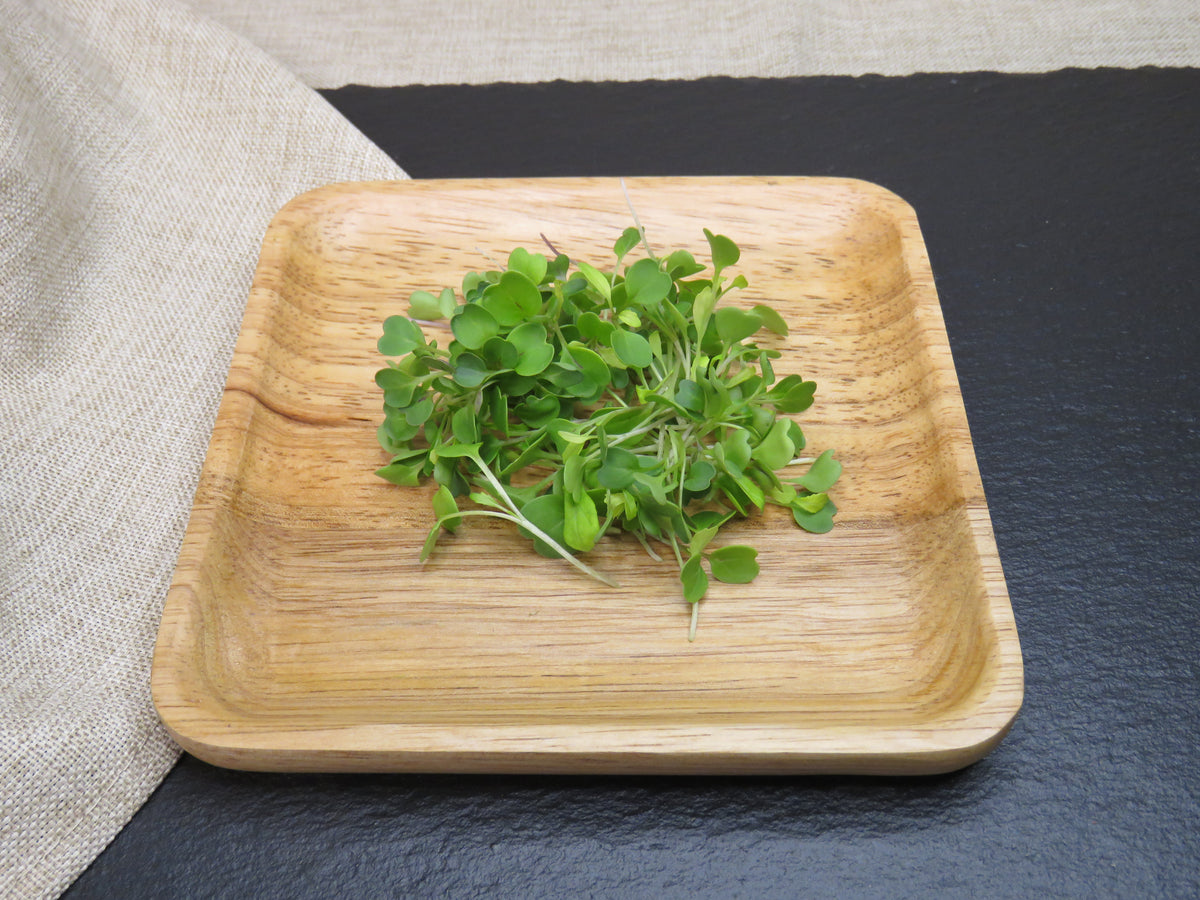 Chef-Ready Micro Arugula