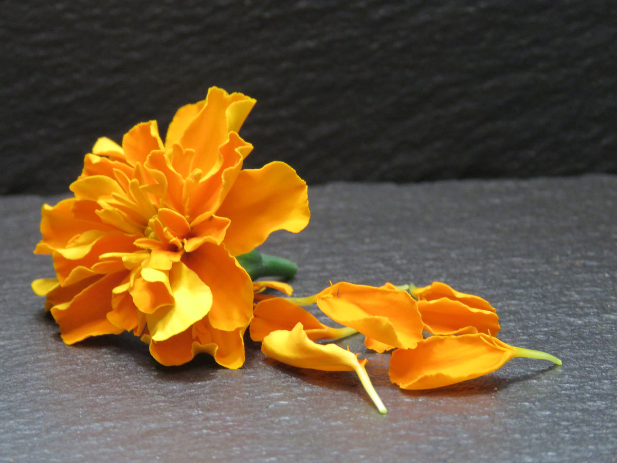 Marigold Petals (Calendula)