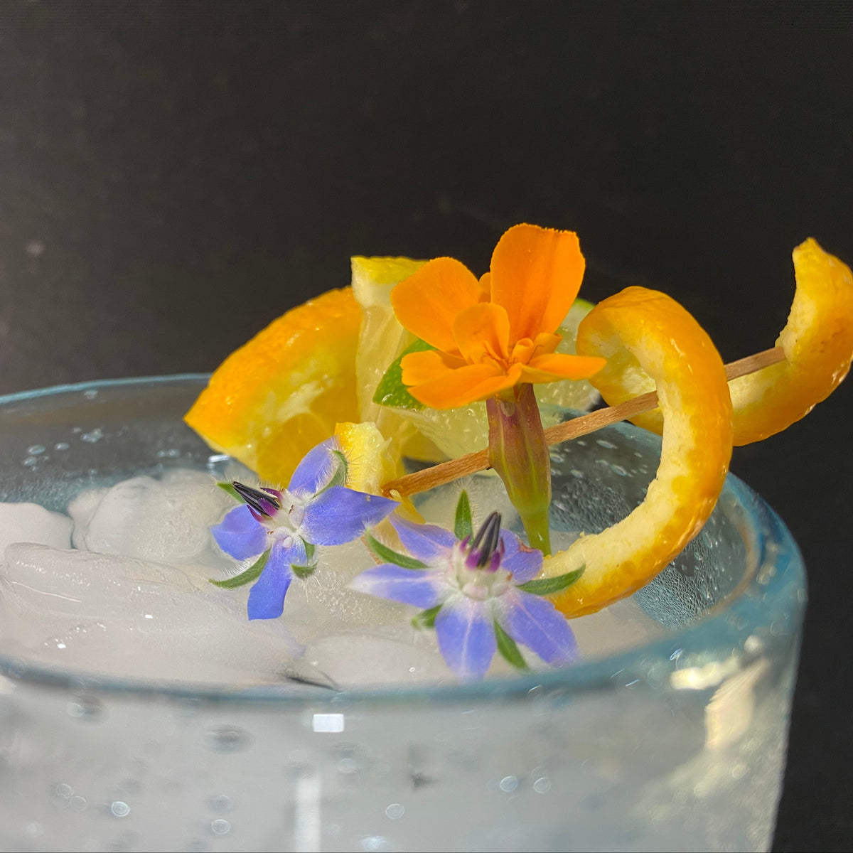 Gourmet Borage Blooms